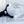 WITHit Task Lighted Magnifier - Black